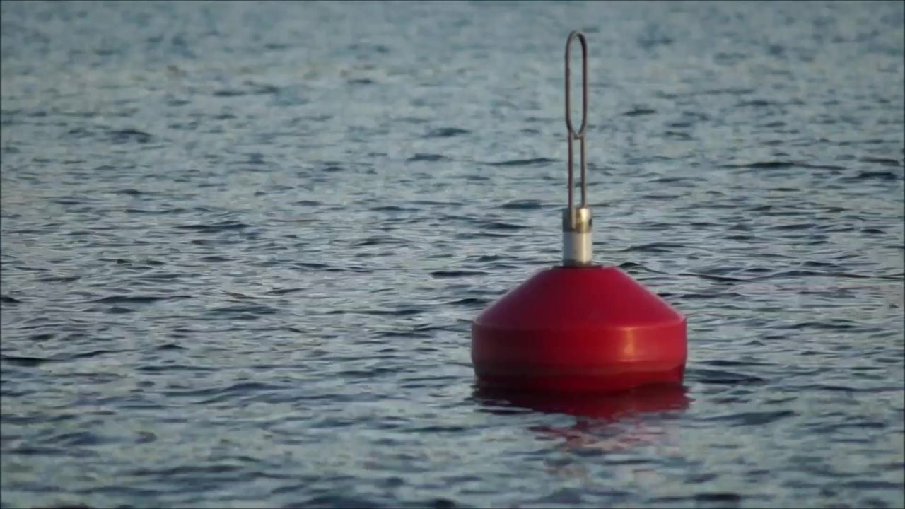 湖浮标夏天水