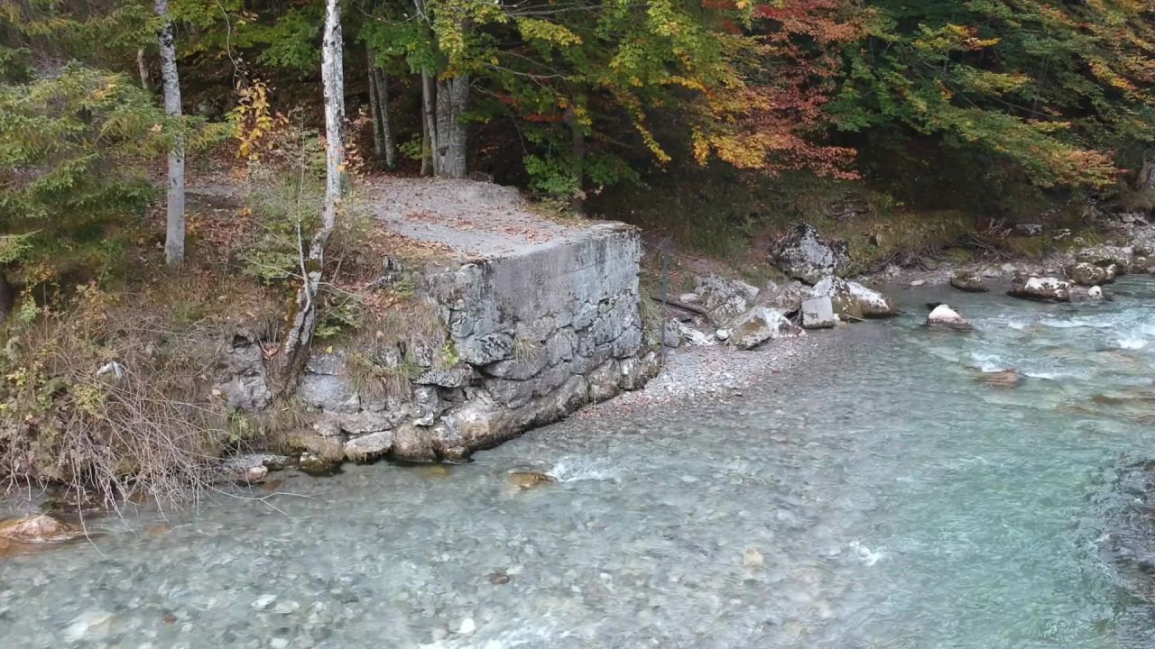 秋河自然景观水森林景区
