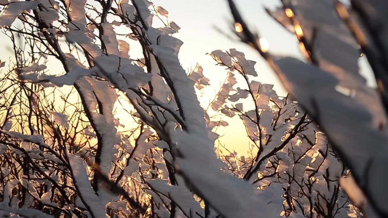 日出太阳雪冬季山