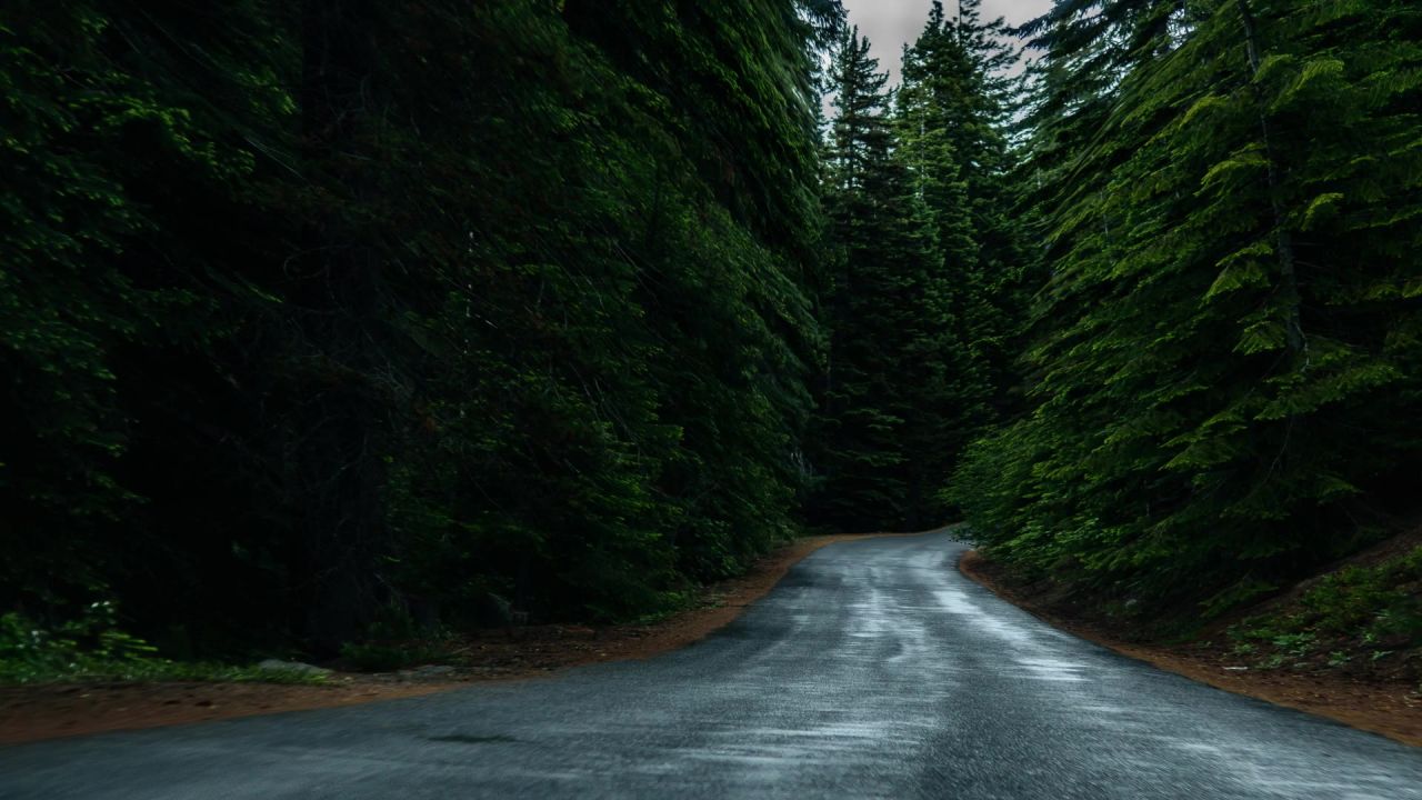 森林路路径沥青