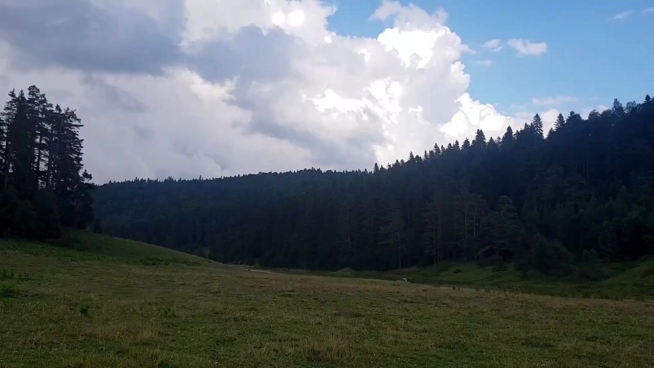 山森林高地景观