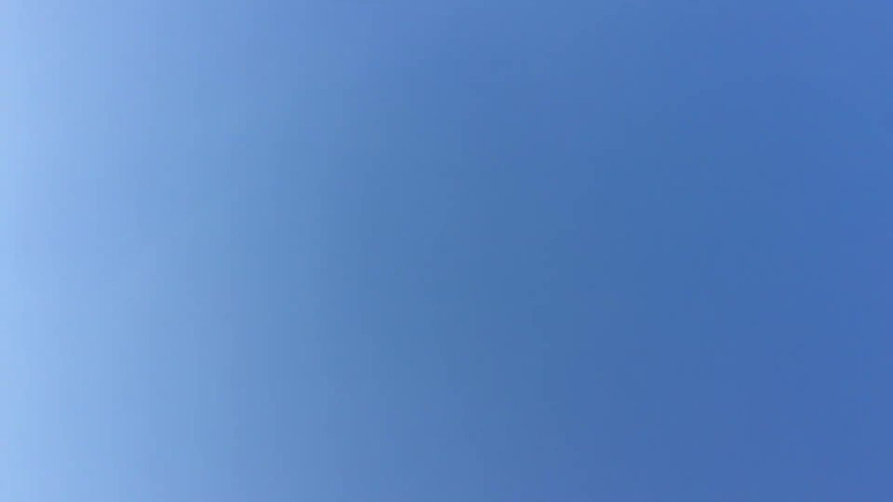 树叶子秋自然天空