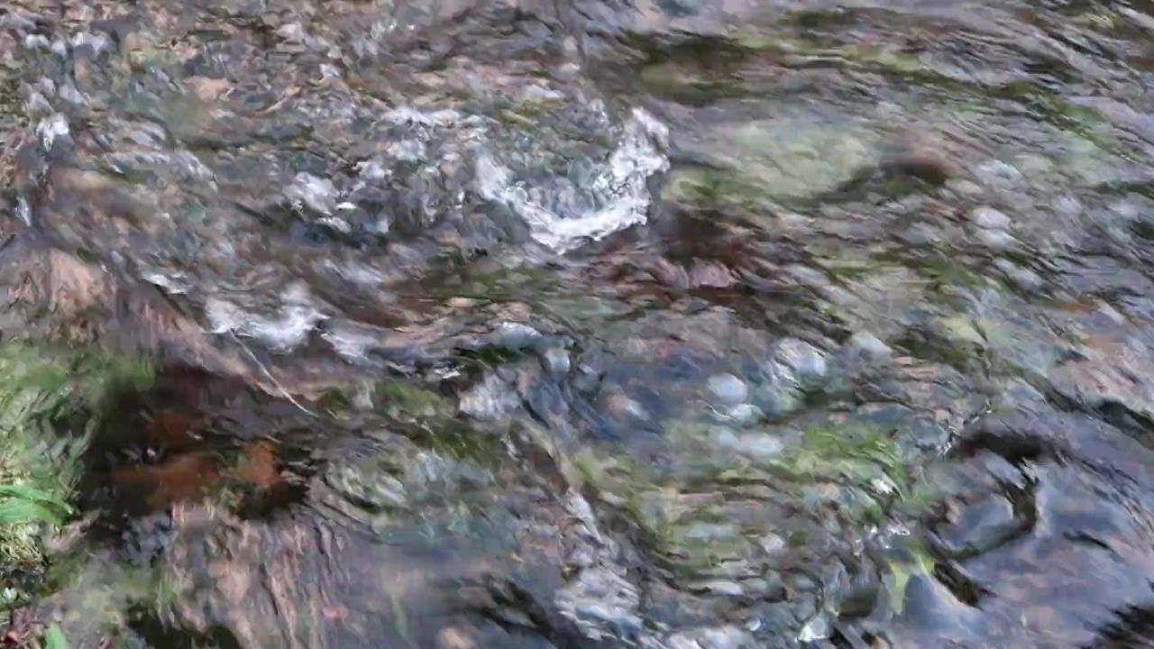 水流过独身生活