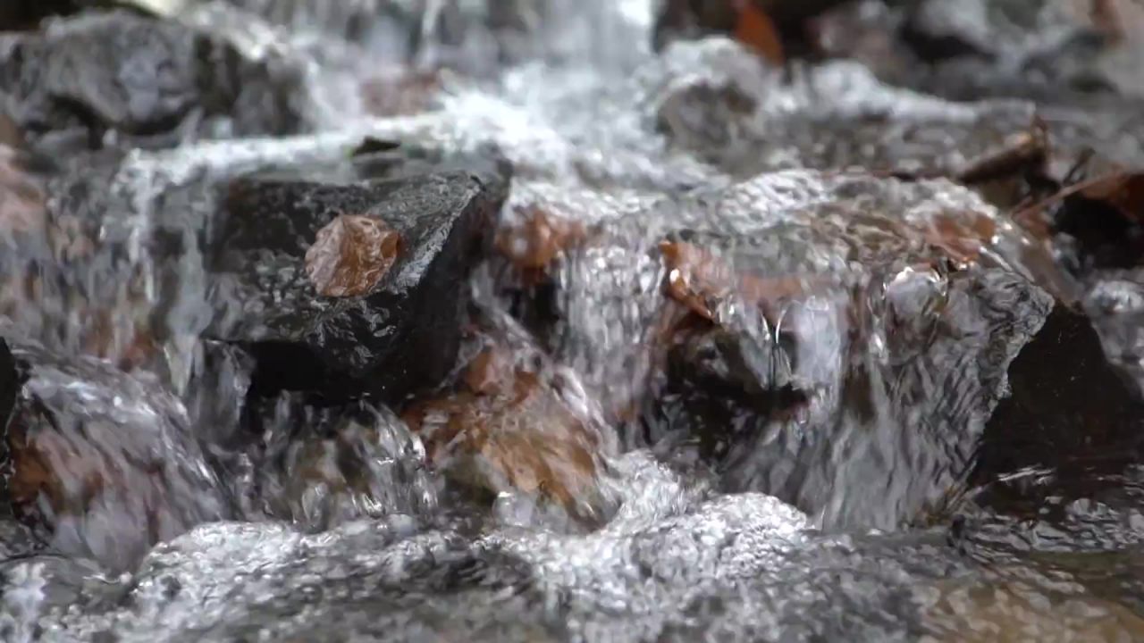 水森林溅私语过
