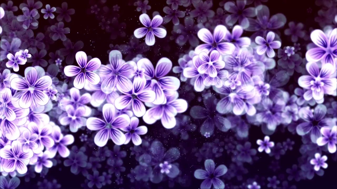 鲜花植物自然生态