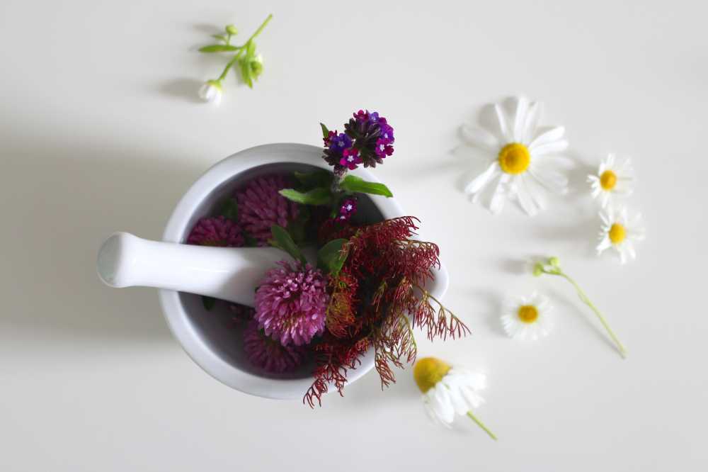 药花治愈软膏