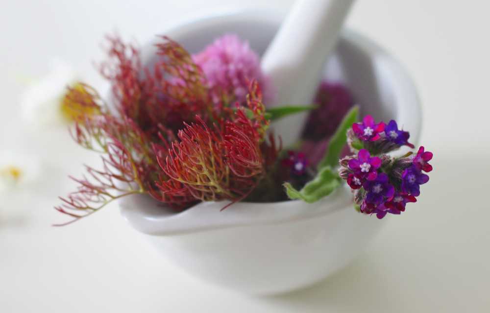 药花治愈软膏