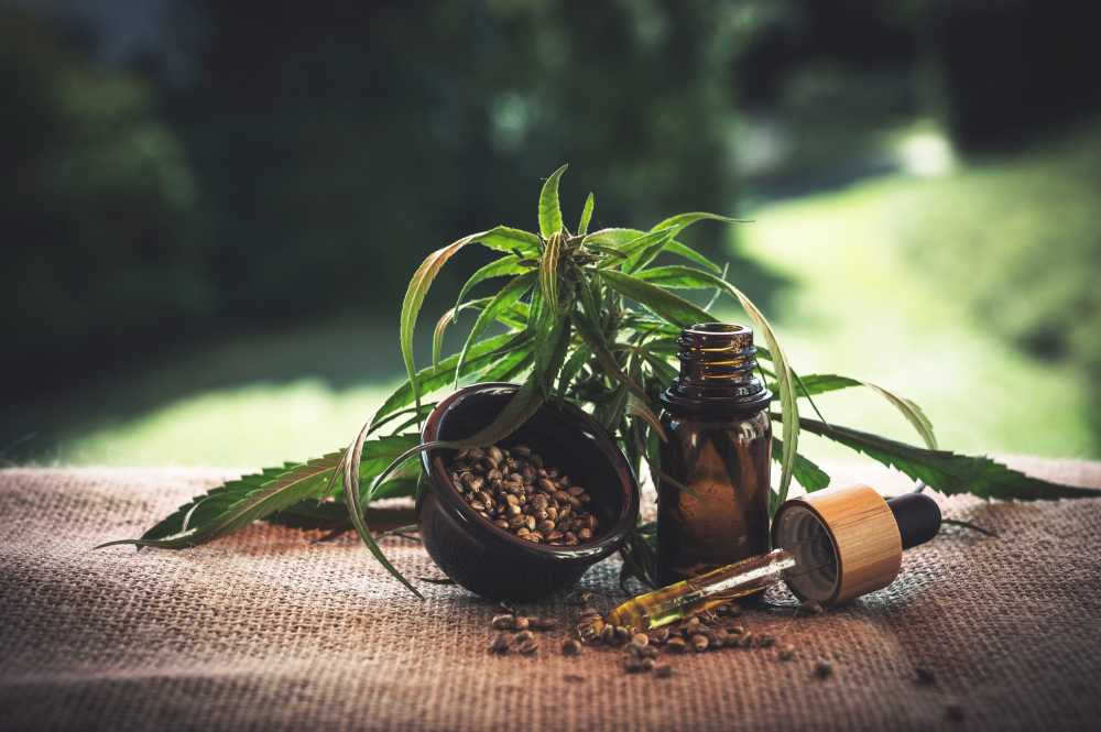油大麻油大麻杂草