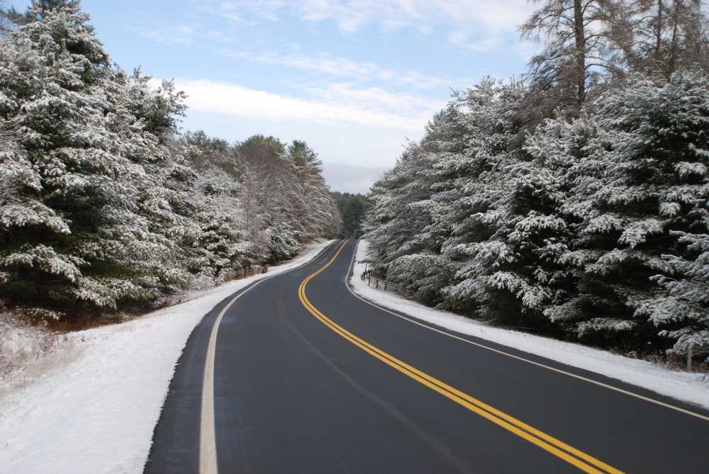雪路冬天树景区