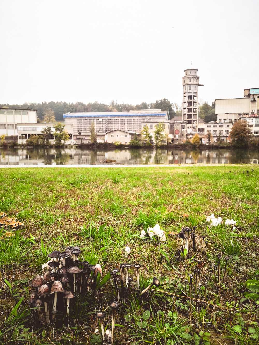 瑞士行业老建设