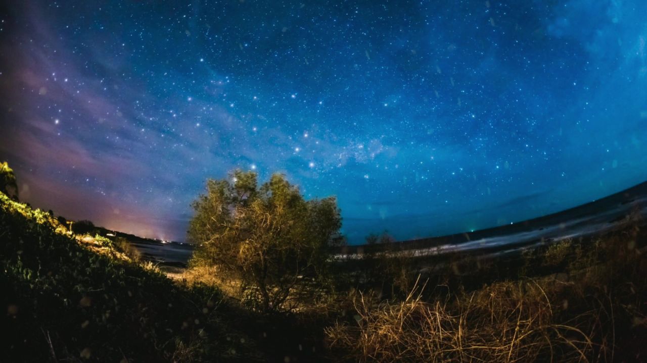 棵孤独的树自然孤独树景观天空单神秘森林美丽的大自然美丽雾心情