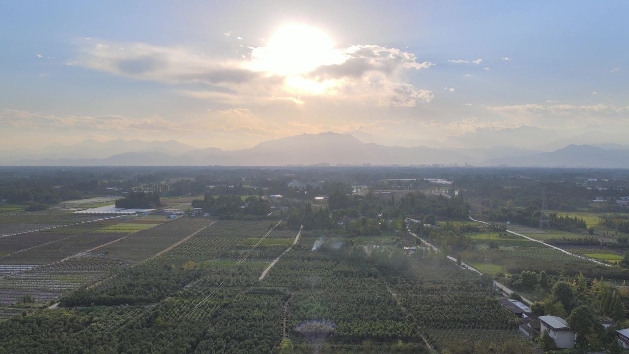 蓝莓田地航拍落日