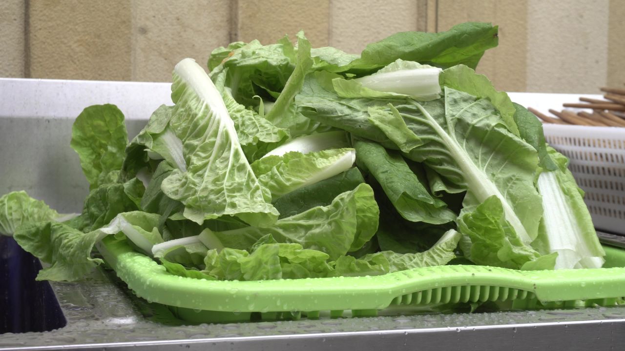 白菜叶素材