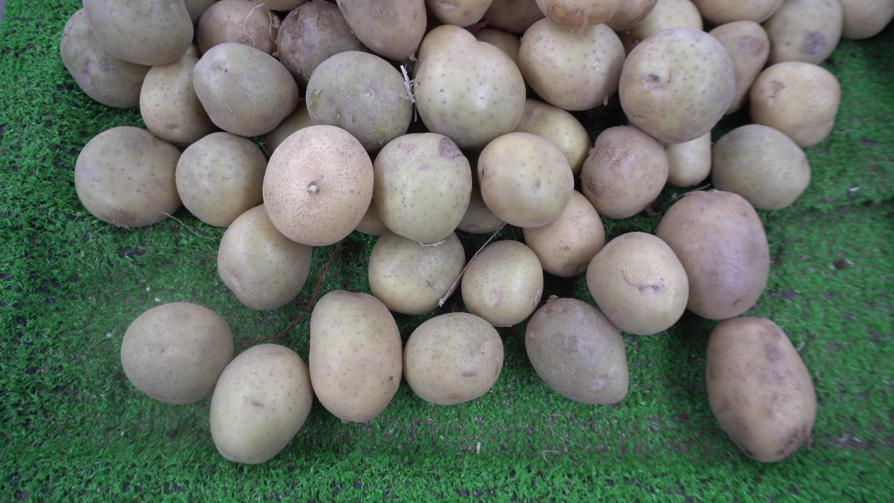 土豆素材