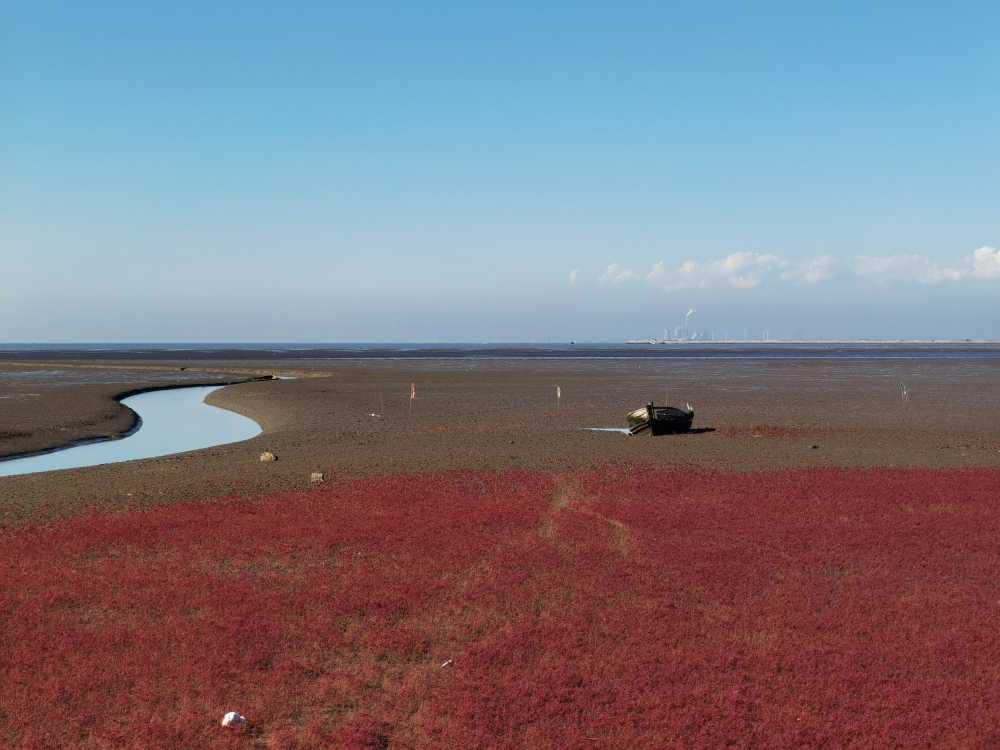 盘锦红海滩