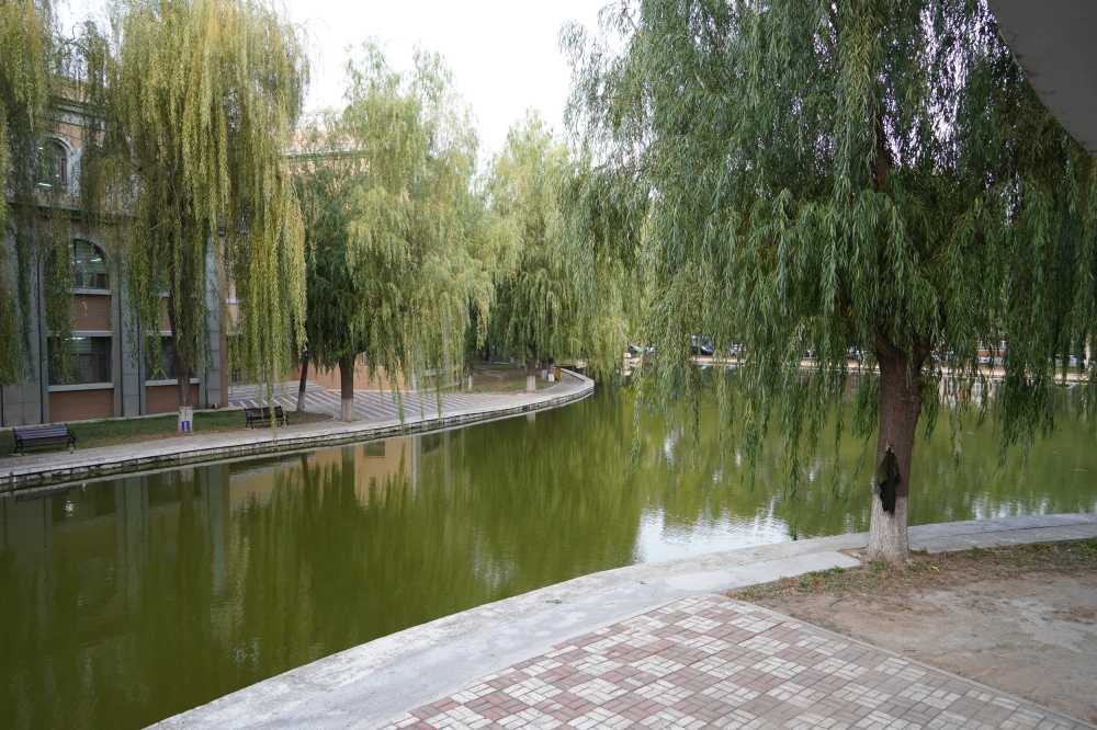 湖边景色
