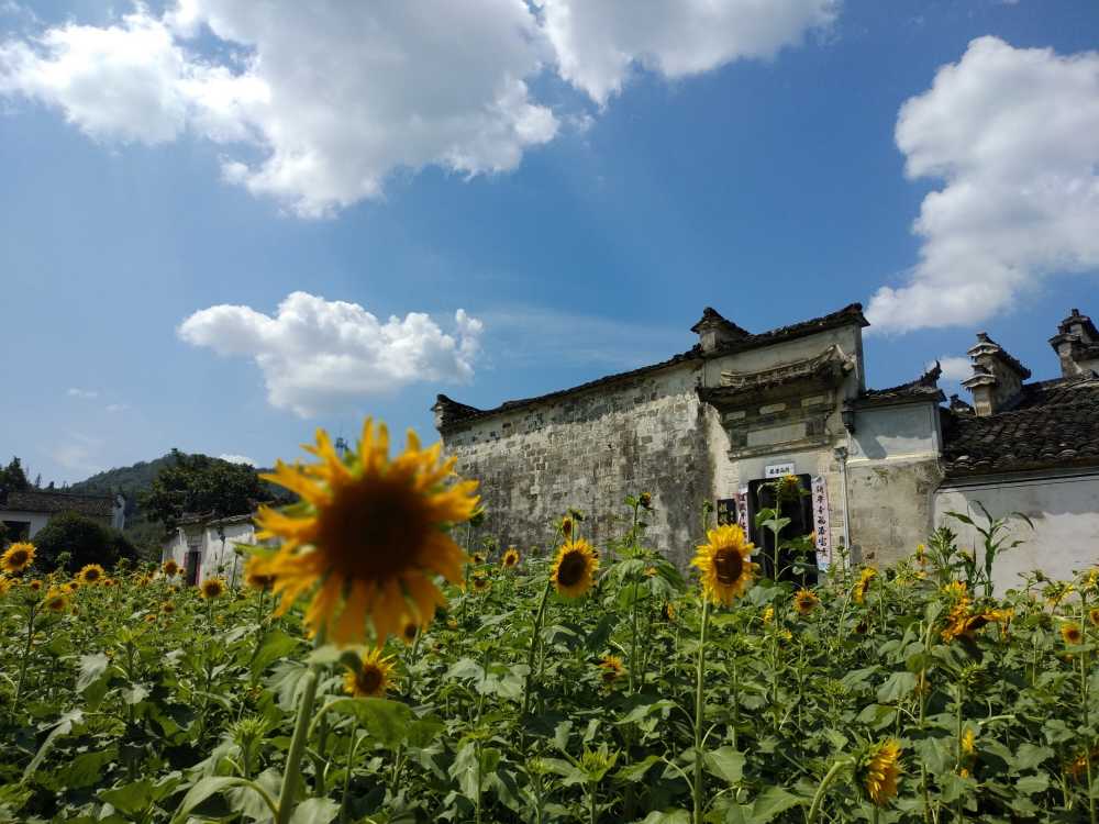 安徽西递景区
