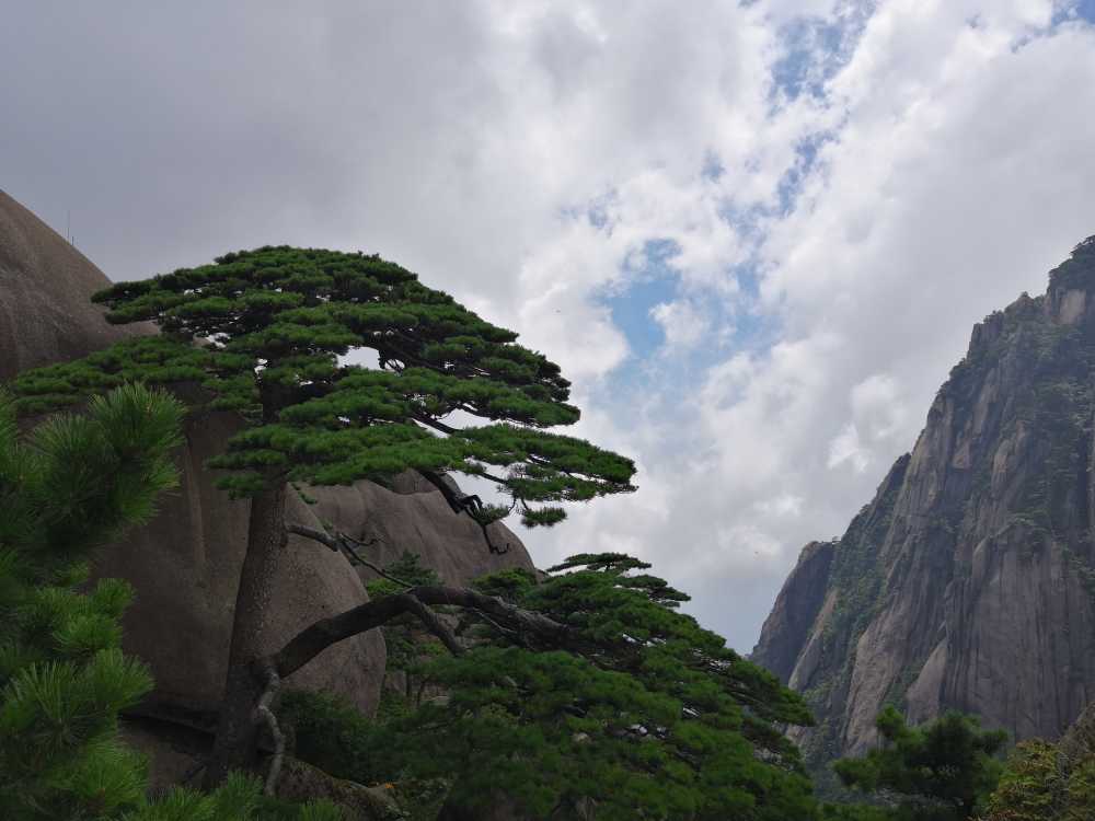黄山风光