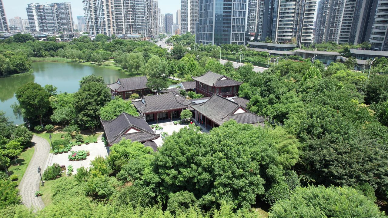 琴桐馆