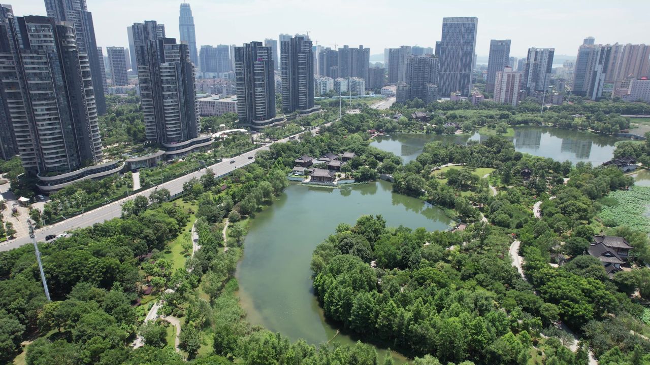 琴桐馆