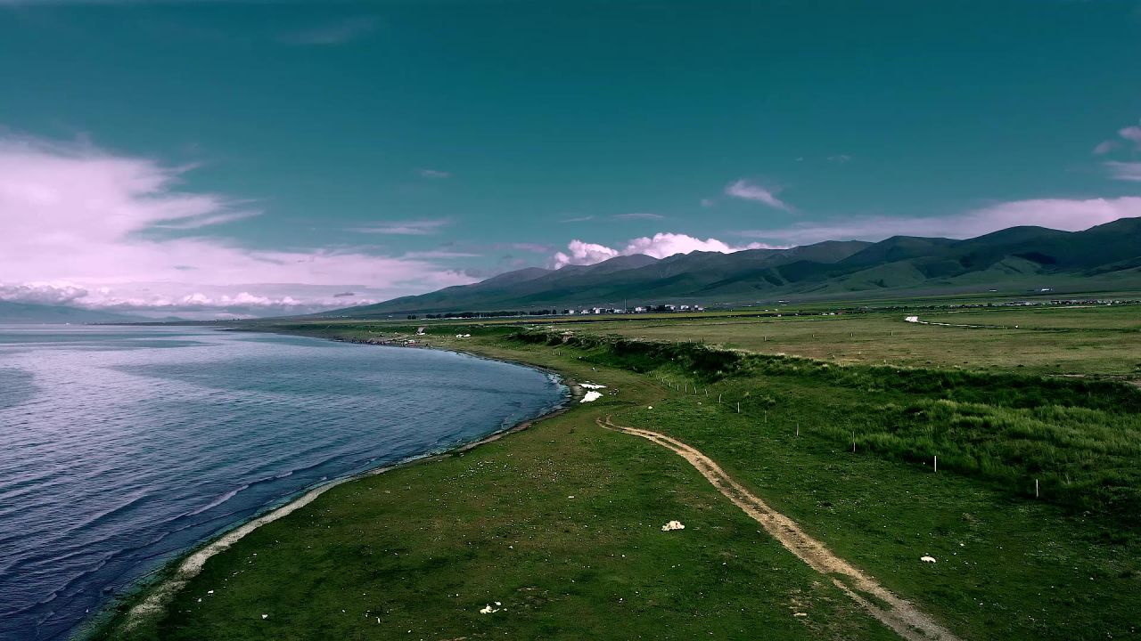 夏日的青海湖畔