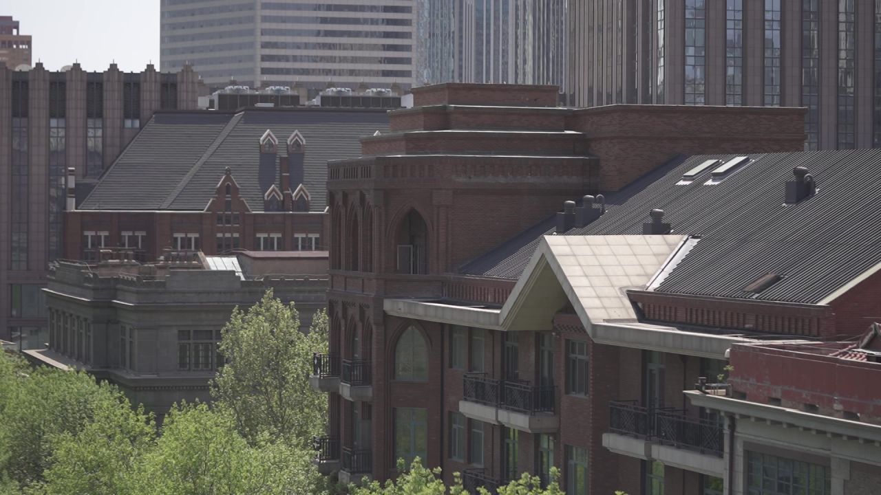城市清晨鸟