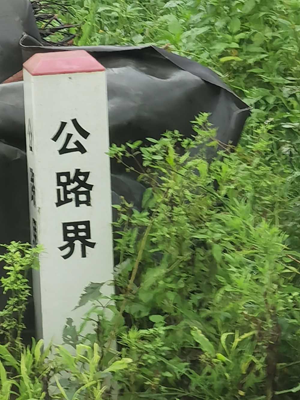 公路界