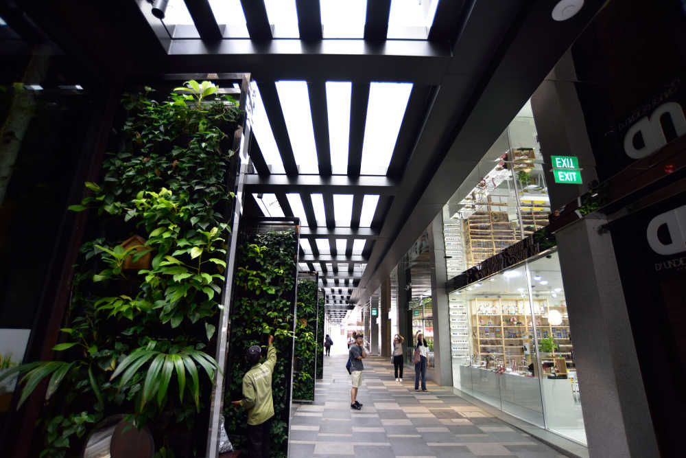 新加坡新概念酒店