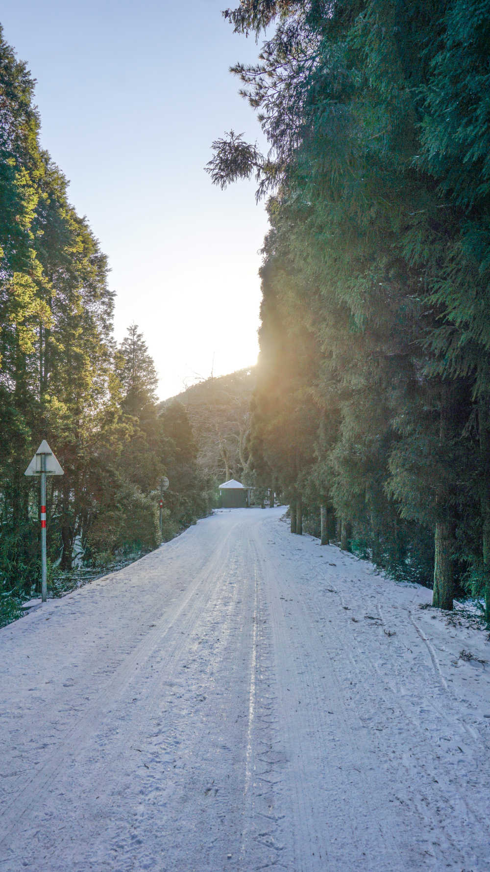 雪与光