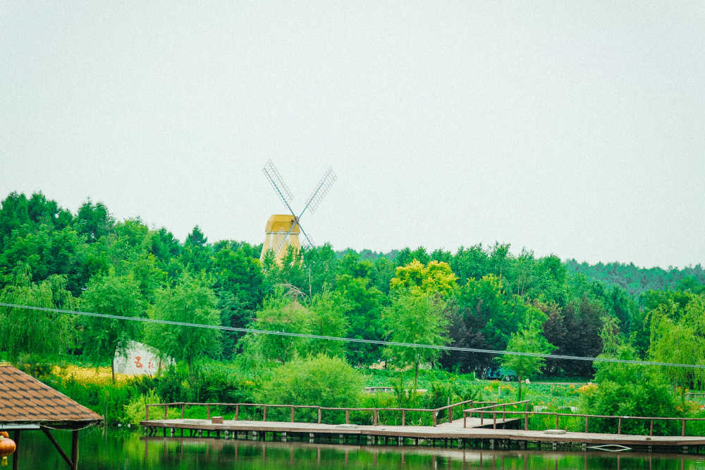 风景
