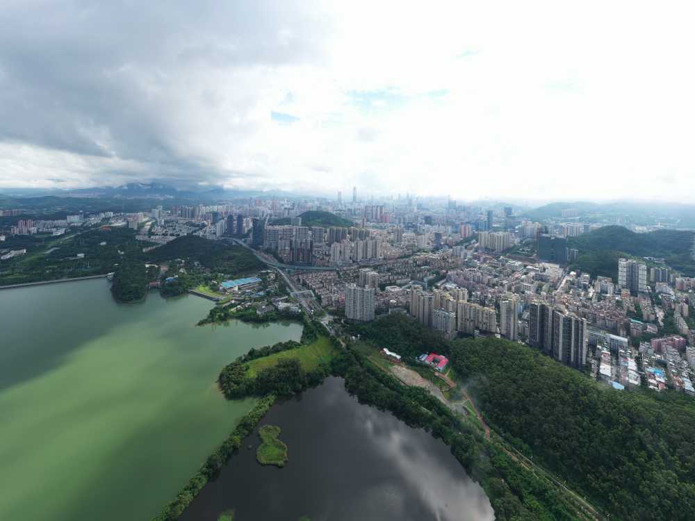 深圳东湖航拍