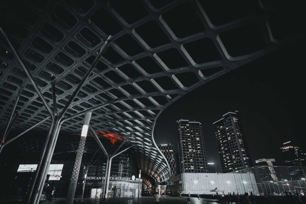 深圳春茧