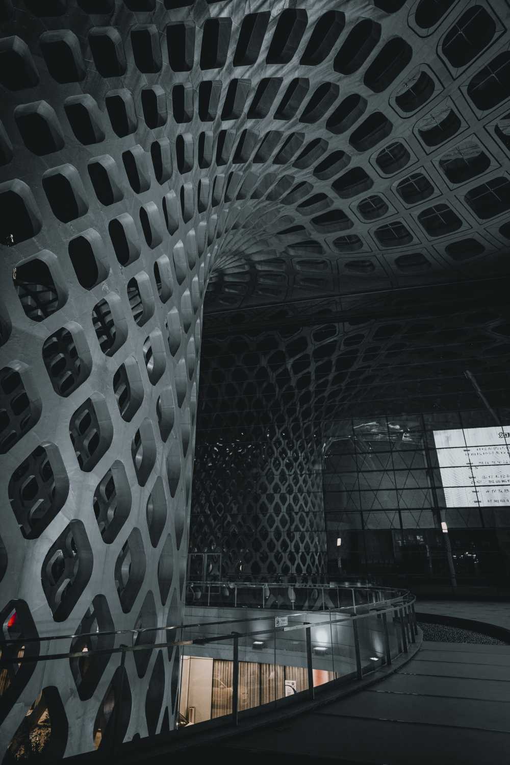 深圳春茧