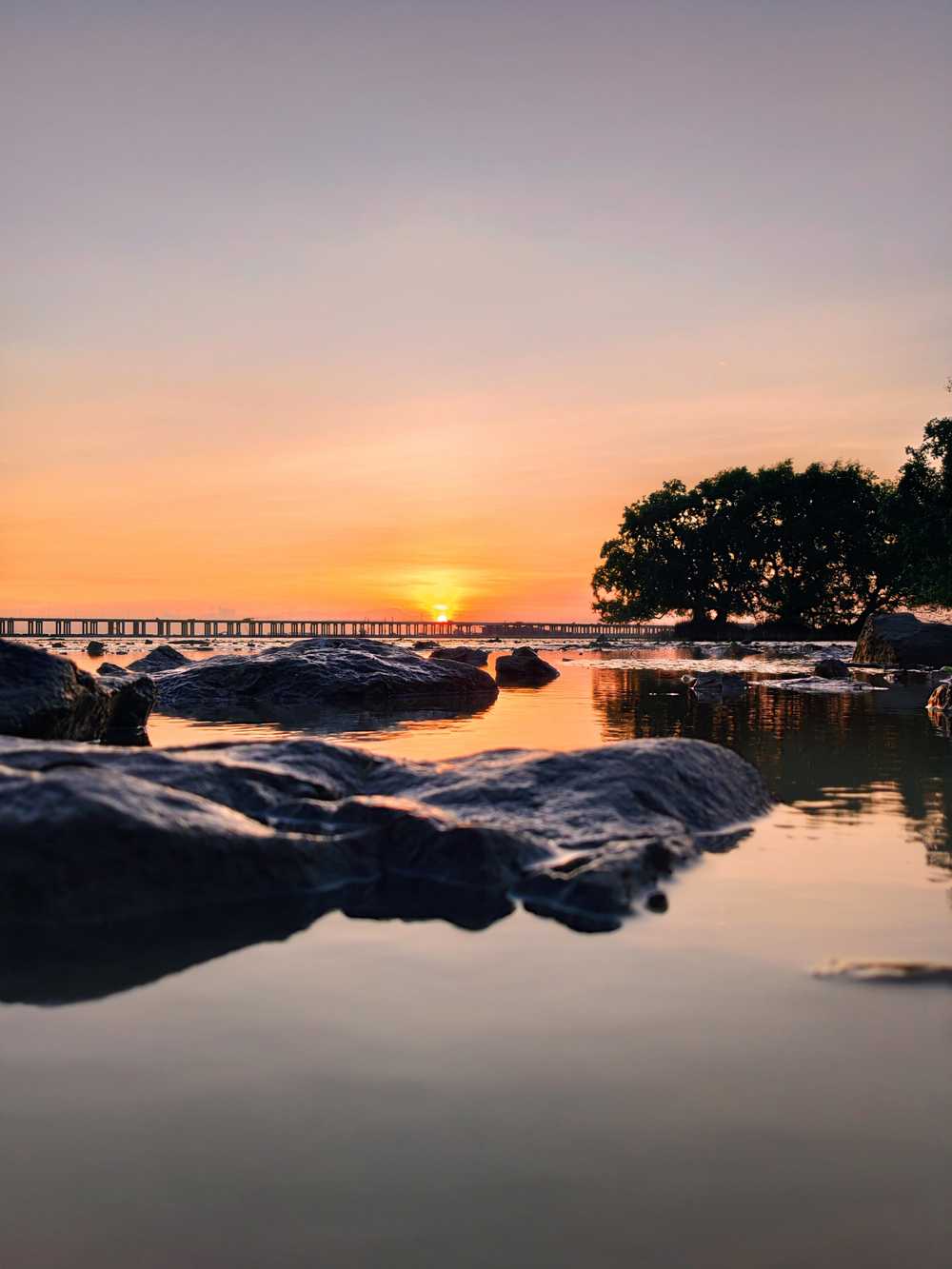 深圳西湾红树林黄昏