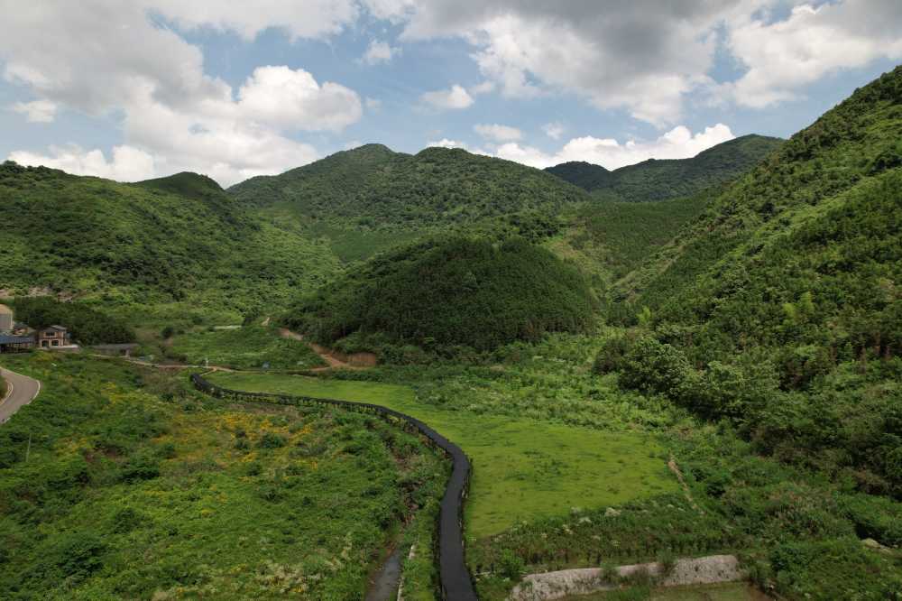 山