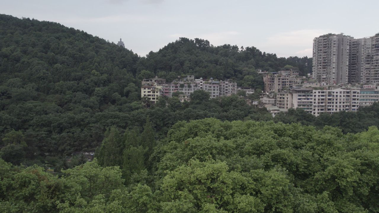 山城