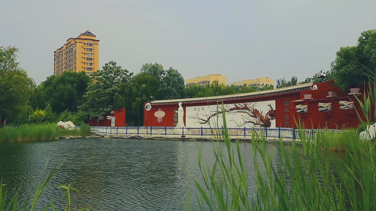 公园湖面风光