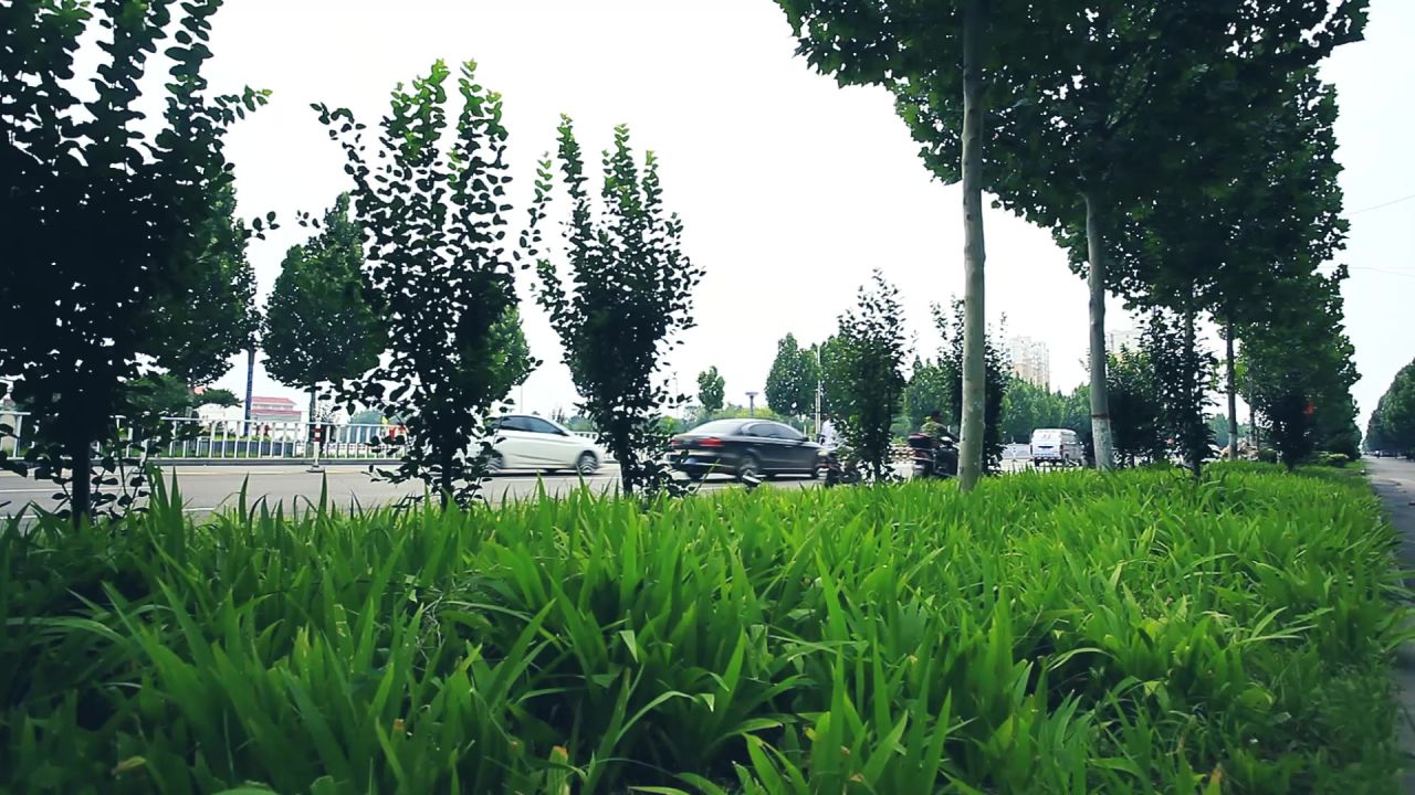 园林县城马路实拍
