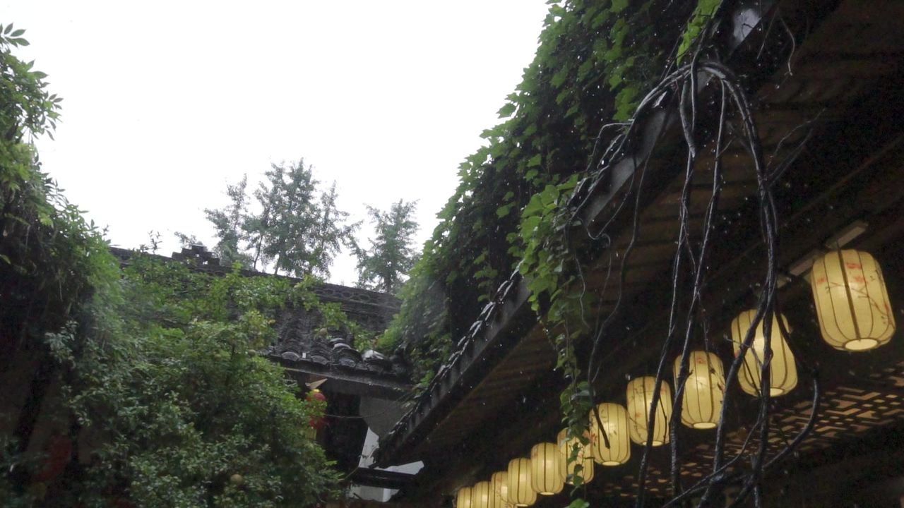 雨中旧巷