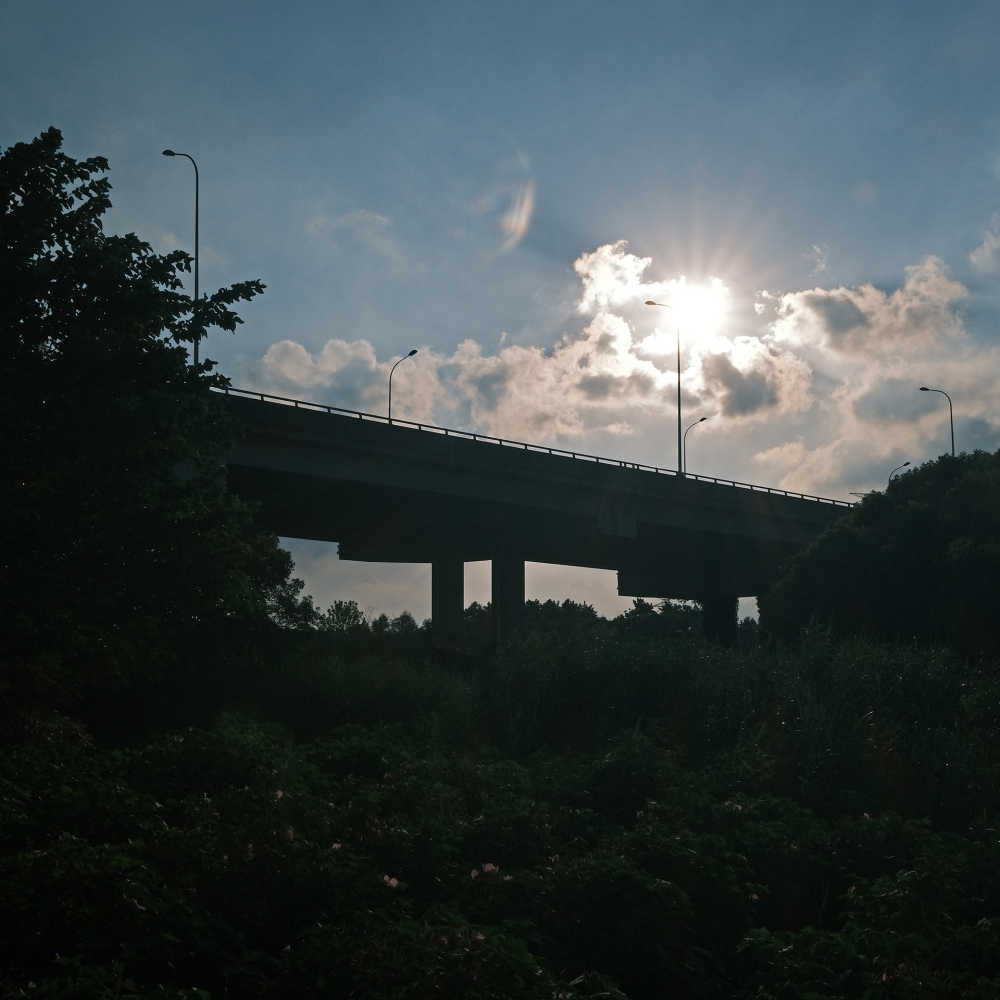 上海康桥生态园-沔西绿地