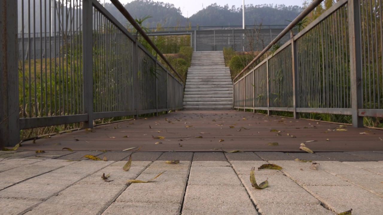 大学风景