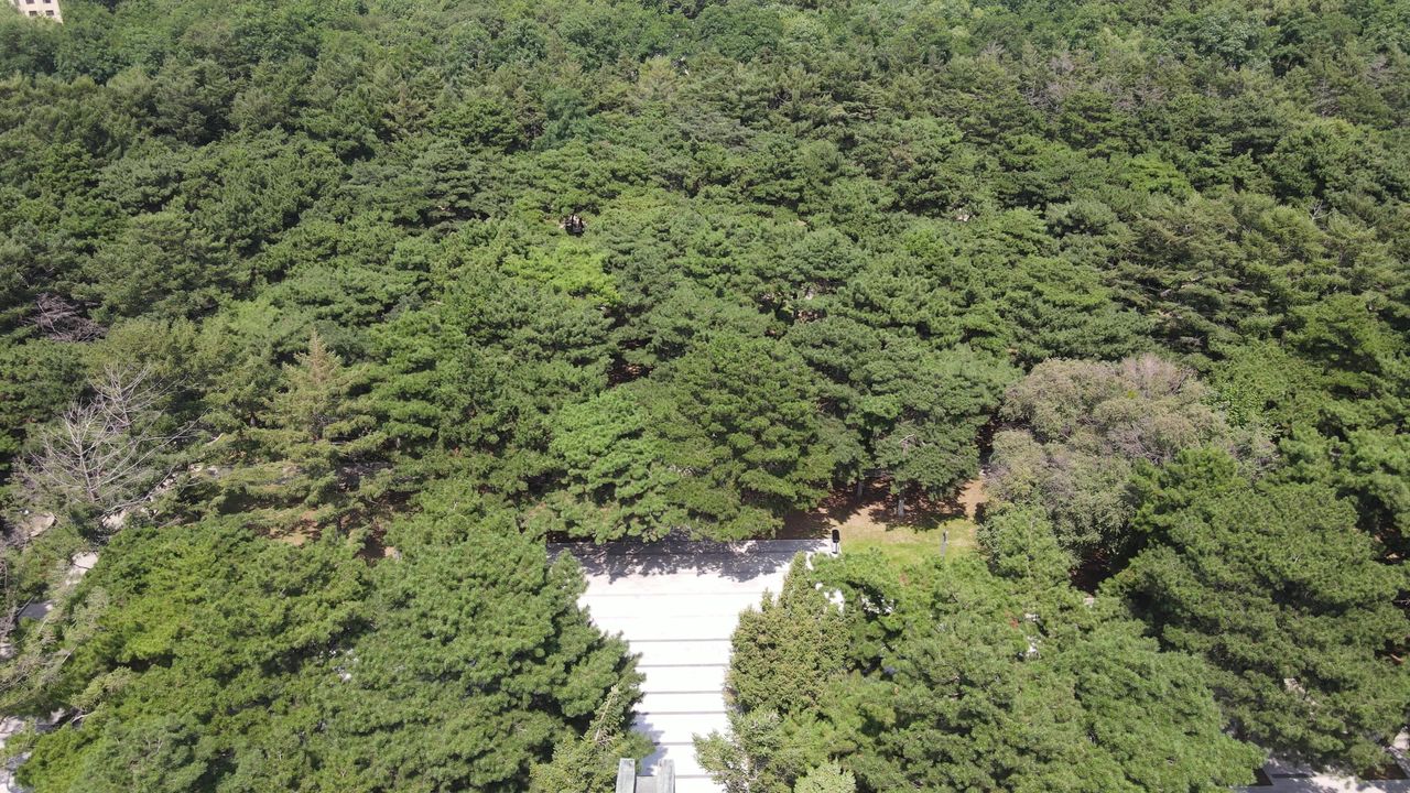 抗美援朝烈士陵园