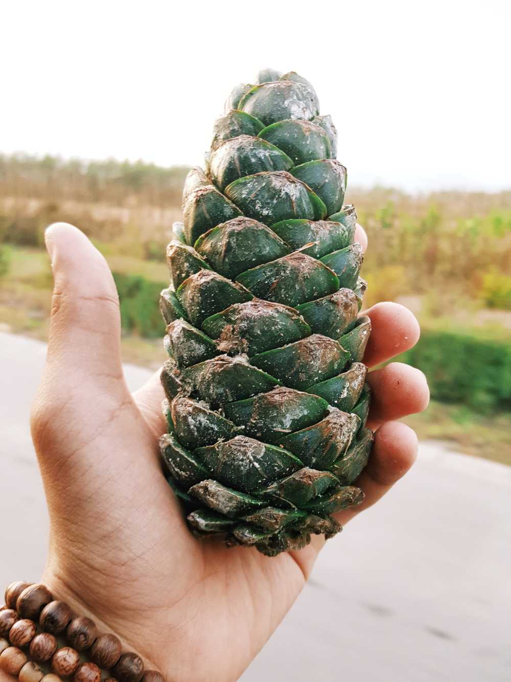 张家界天门山