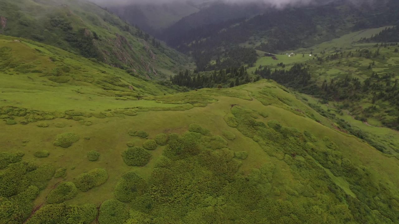 新疆山间迷雾