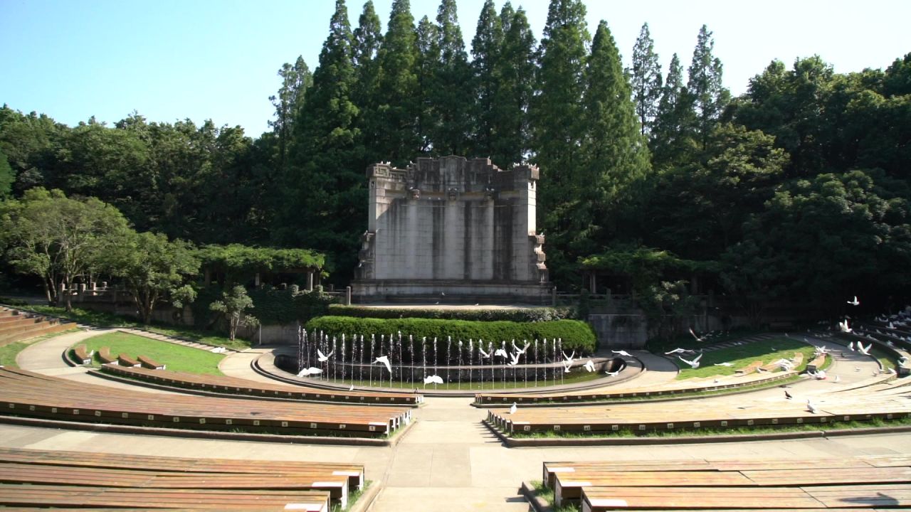 中山陵鸽子