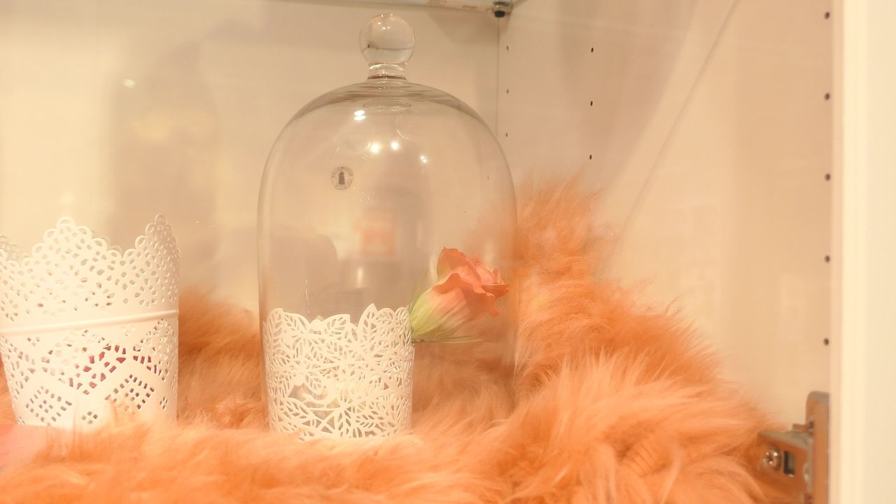 花盆