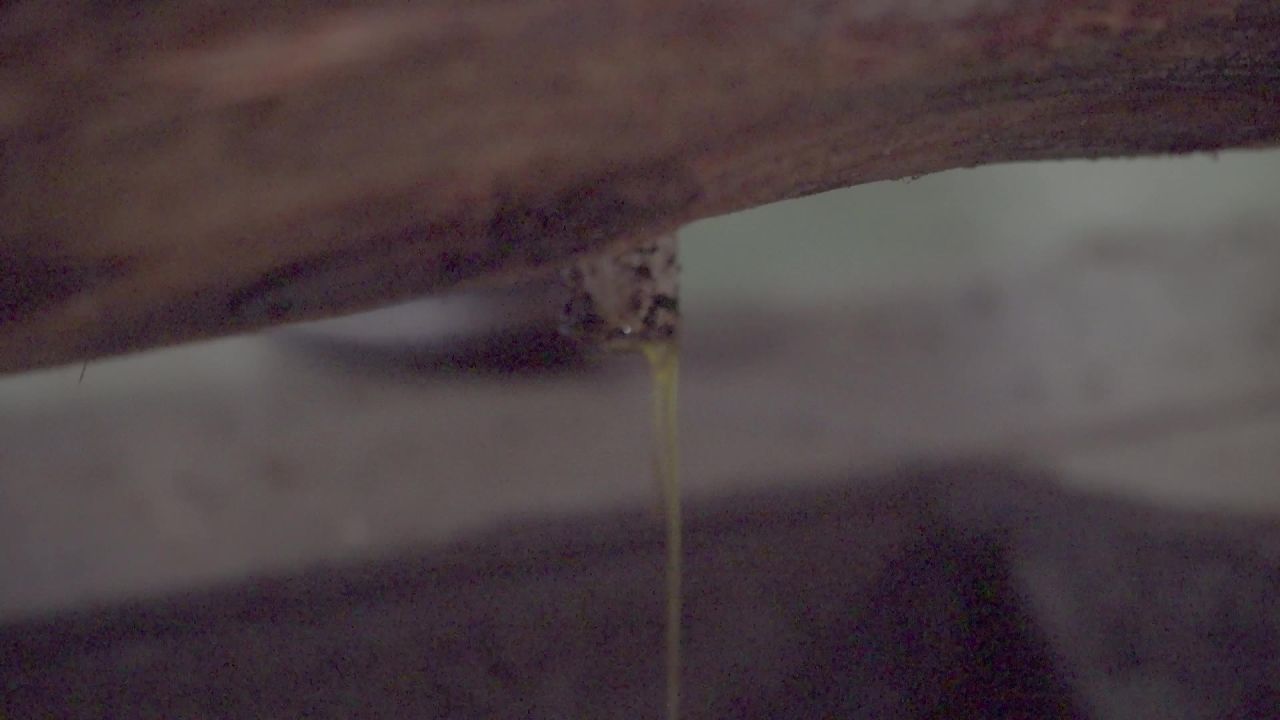 古法榨油