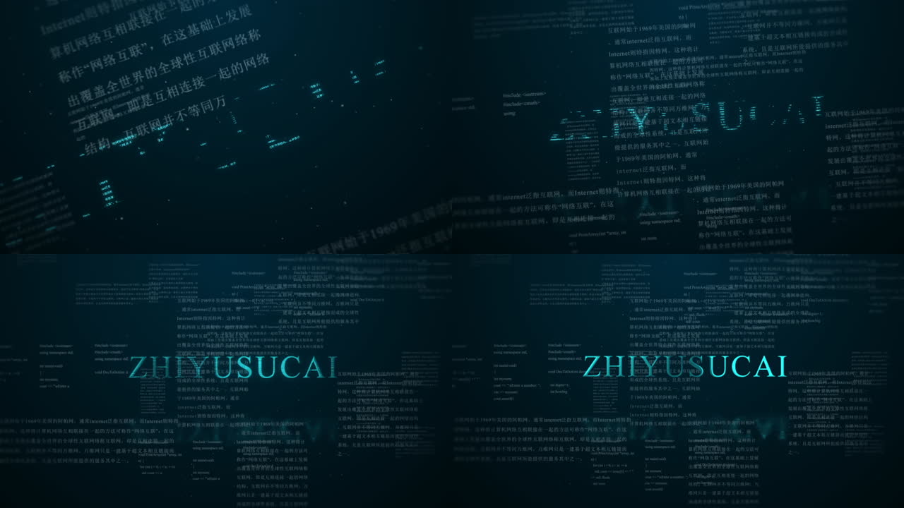 数字代码标志显示