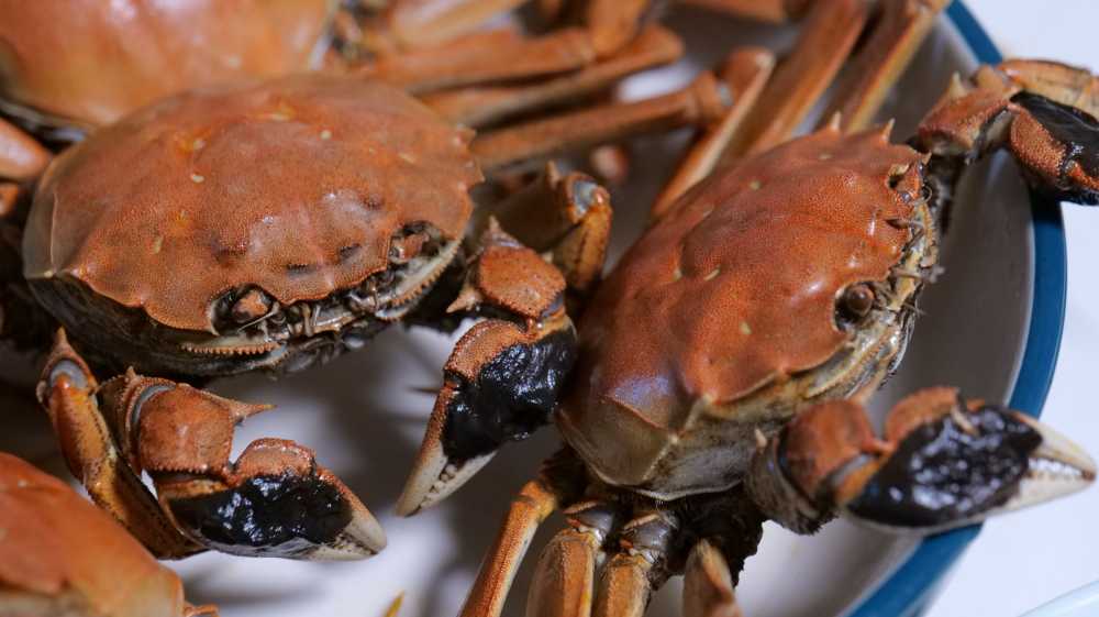 盘锦河蟹