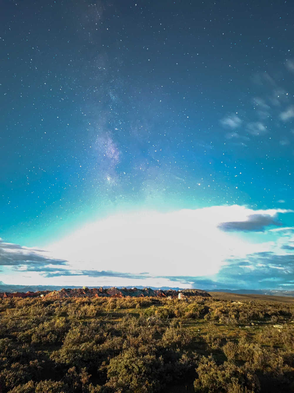 鱼子西星空